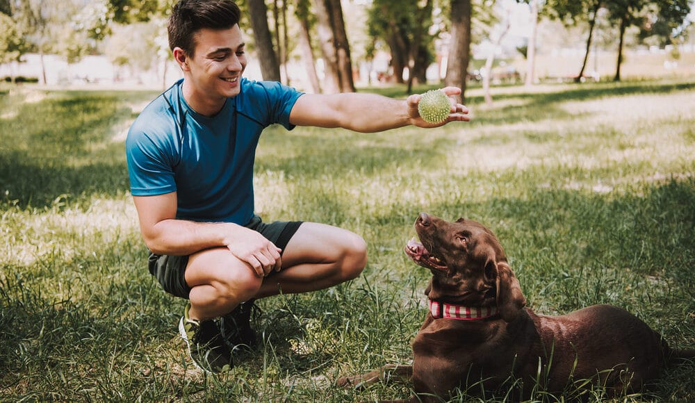 Ask a Vet or Trainer Ask a Vet or Trainer