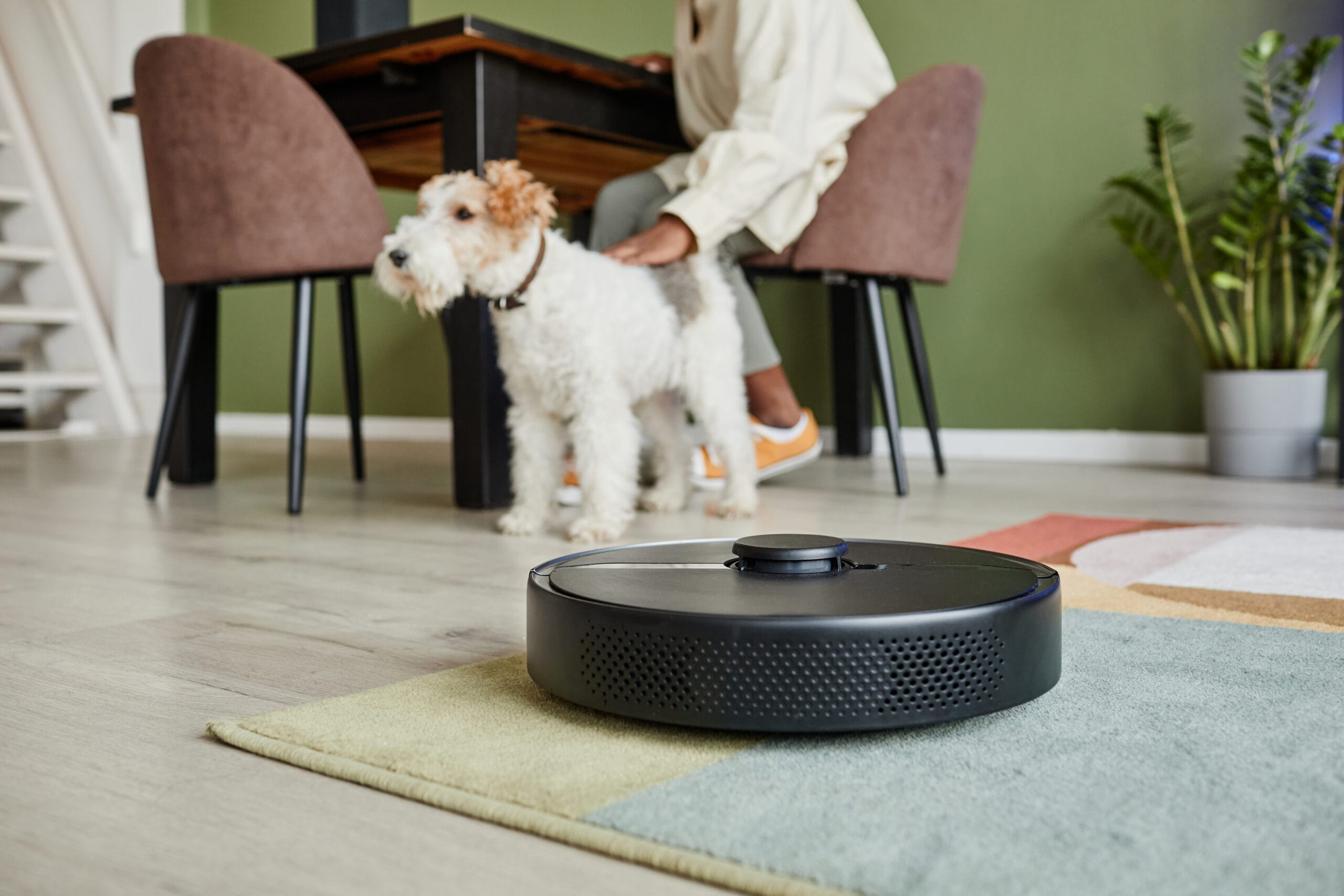 Best Robot Vacuum for Dog Hair In 2026