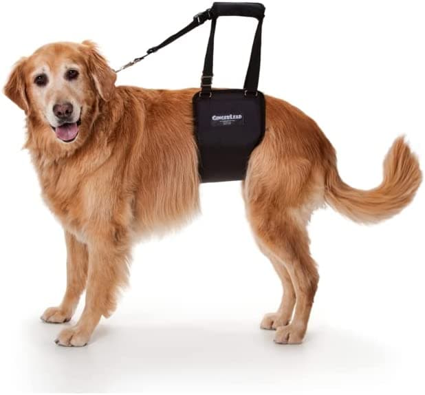 Gingerlead Dog Sling Support Harness