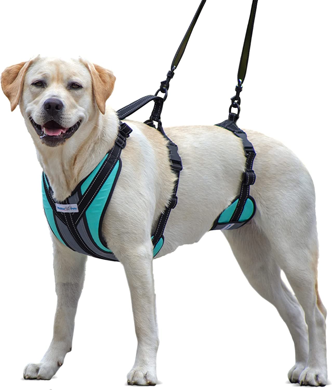 Walkin' Dog Harness