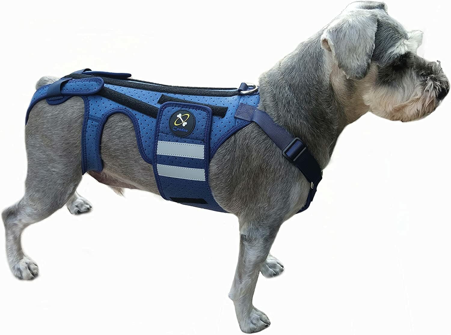 Coodeo Dog Back Brace