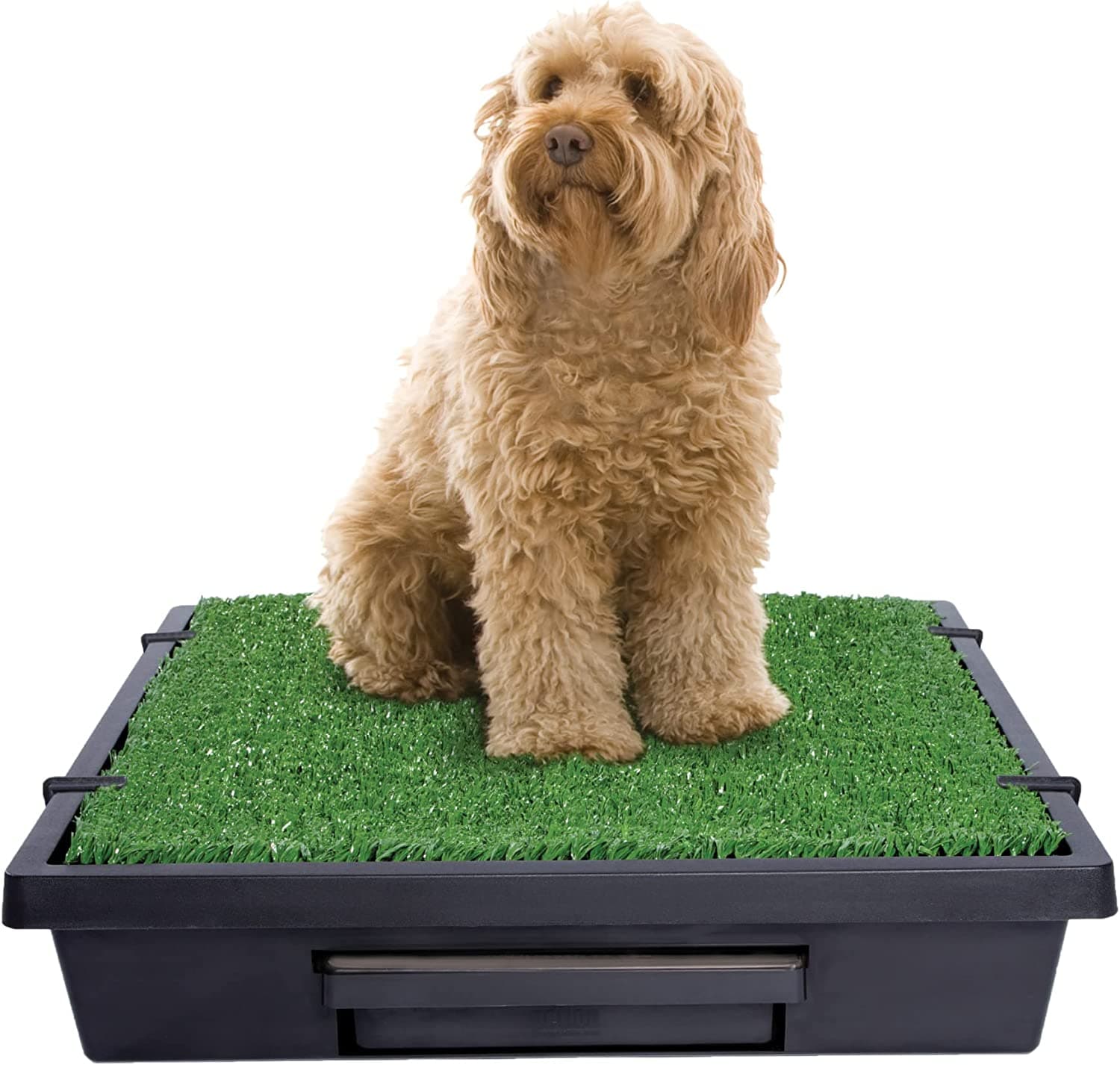 PetSafe Pet Loo Portable Dog Potty