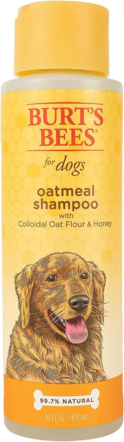 Burt's Bees Oatmeal Dog Shampoo