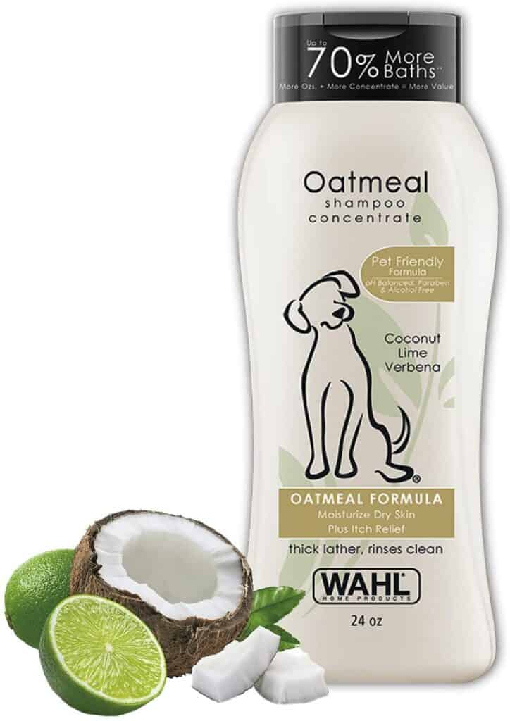 Best Dog Shampoo For Basset Hound Shedding