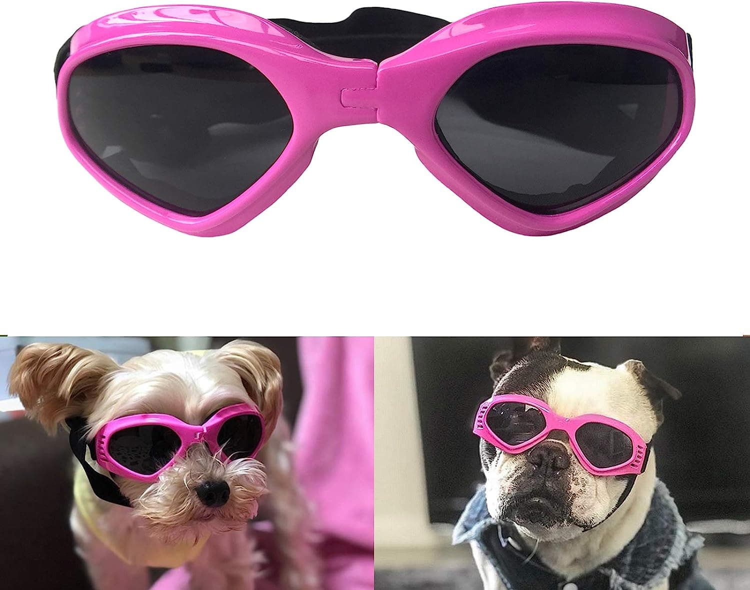 Best Dog Goggles for Dogs With Cataracts