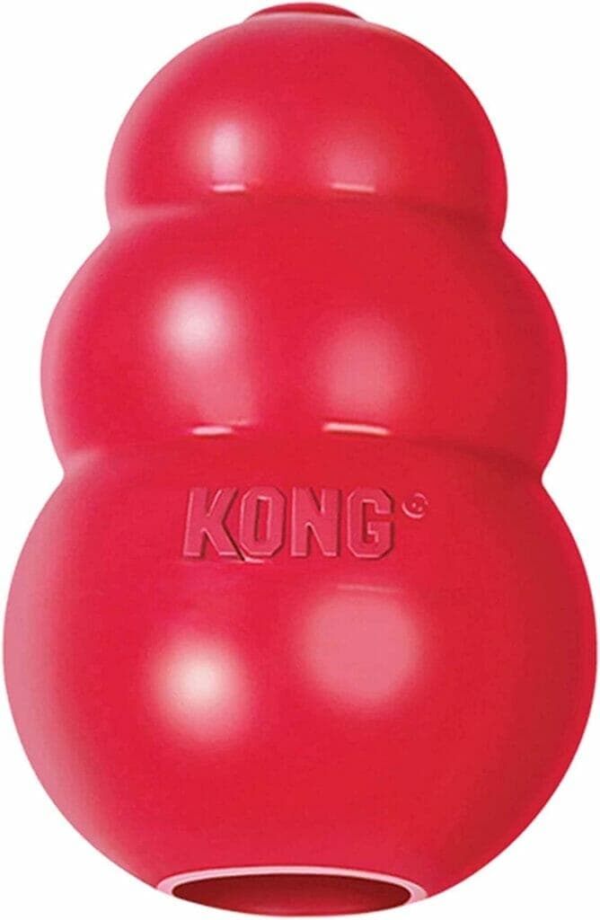 Where can you buy a Kong?