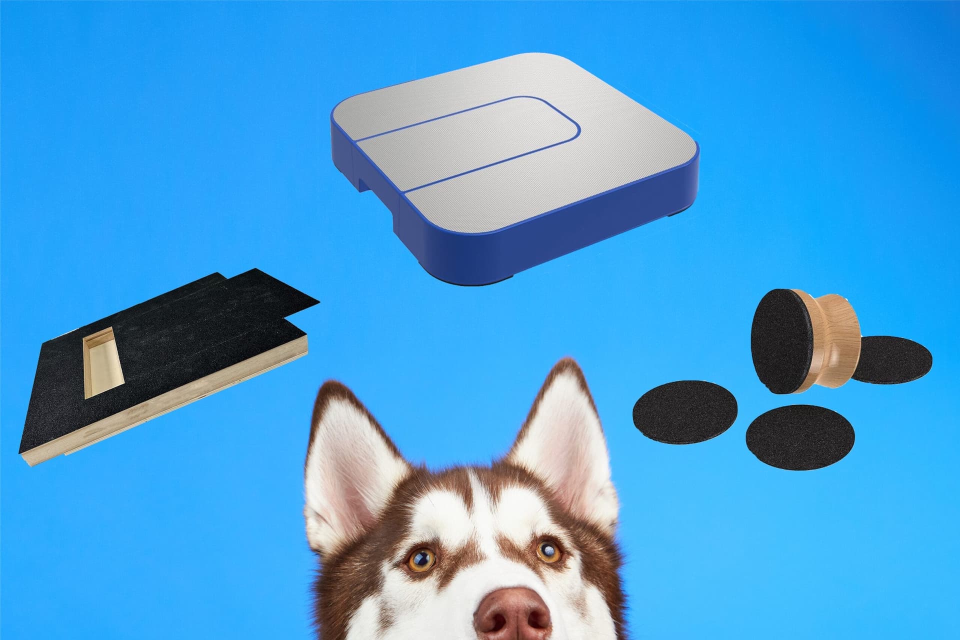 Top 10 Dog Scratch Boards: The Pros