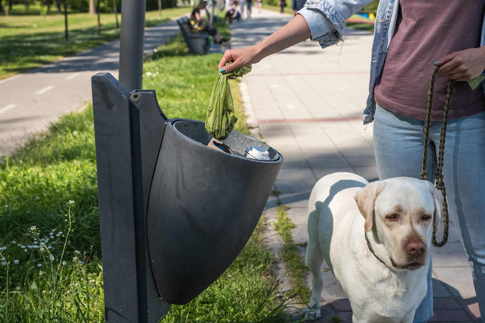 Dog Poop Turns White When It Dries? Here’s When To Be Concerned..