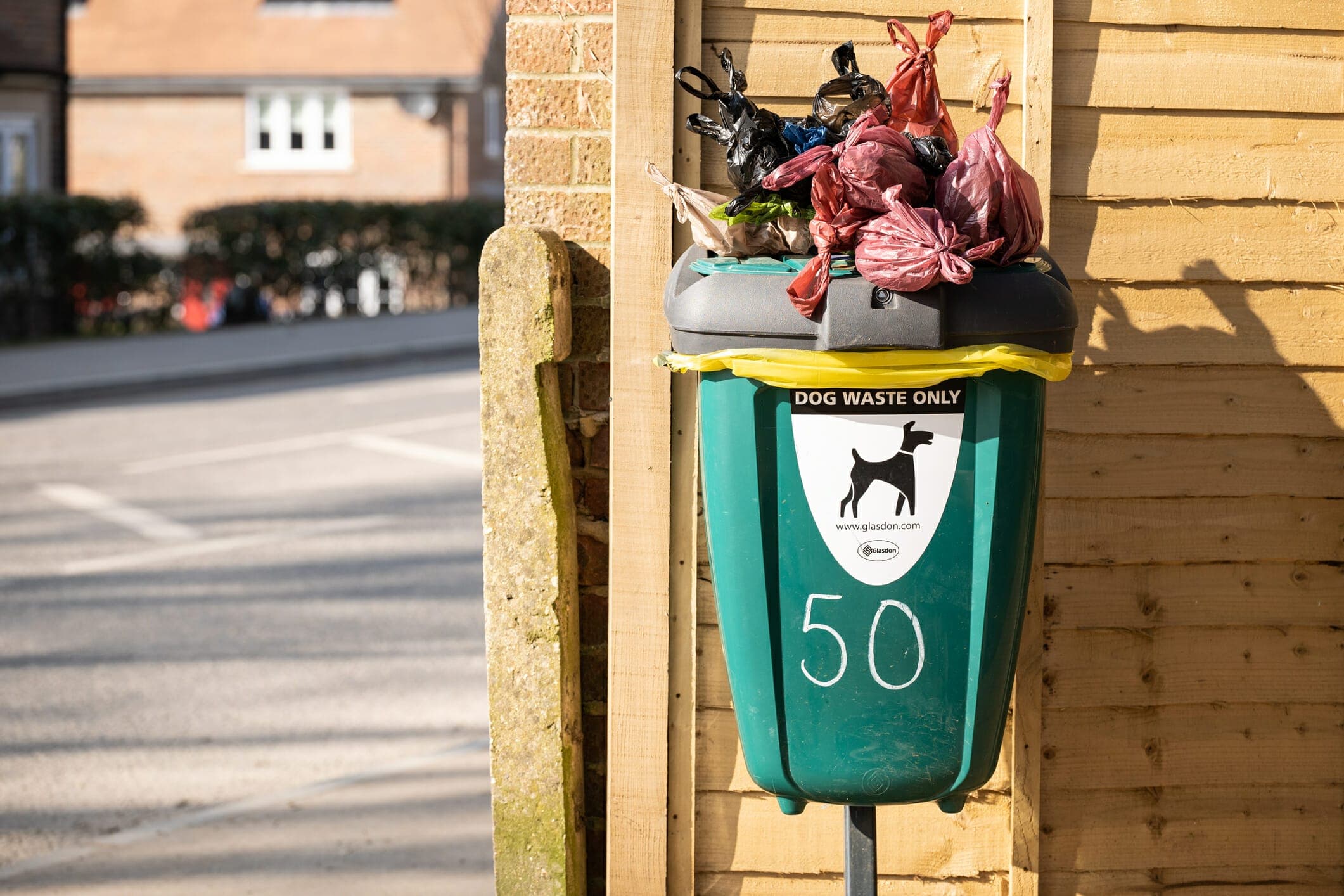 What To Do With Dog Poop Until Garbage Day? (Answered)