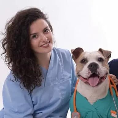 Dr. Sandra Tashkovska