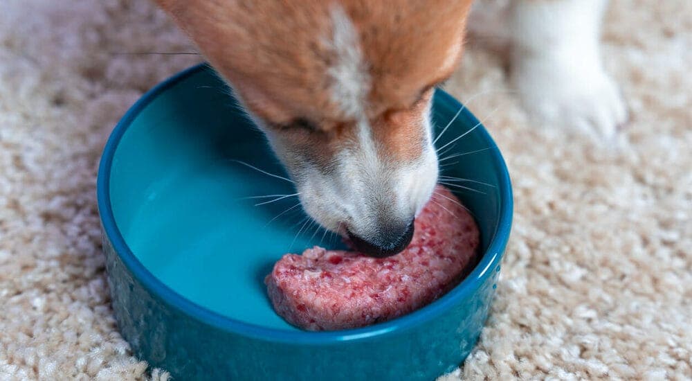 Lightly Cooked Chicken Or beef