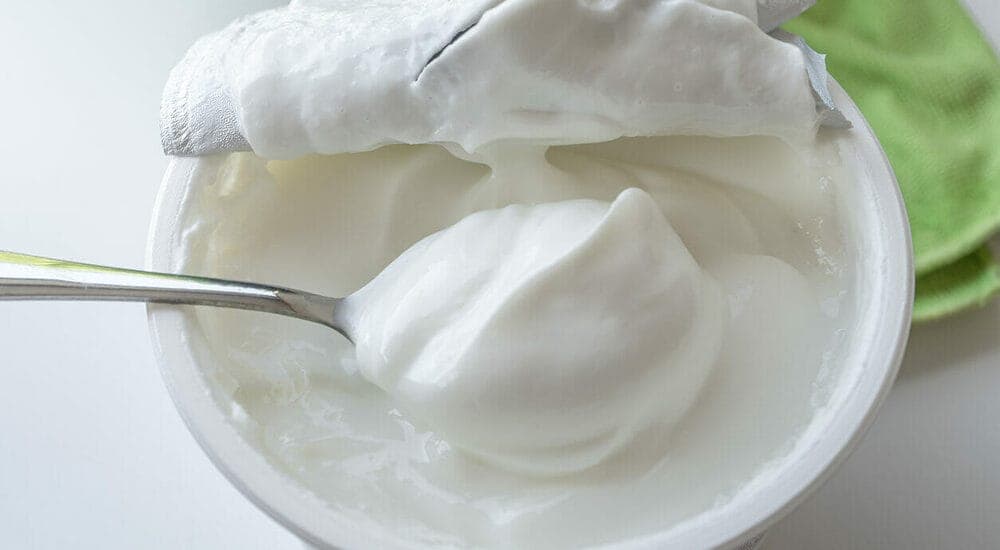 Greek yogurt