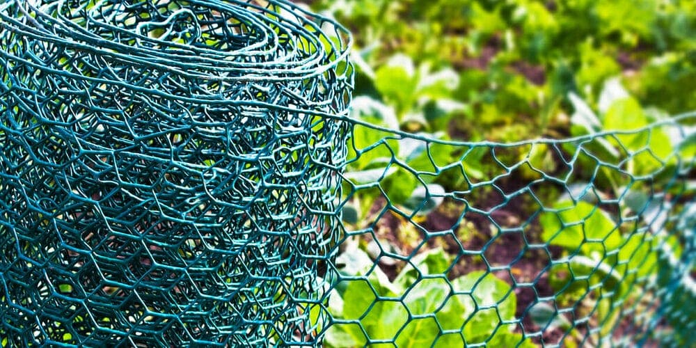 Chicken wire