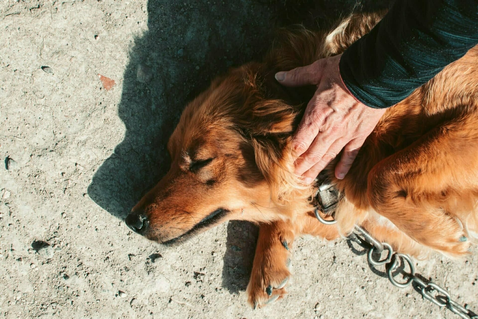 Provide enough human attention