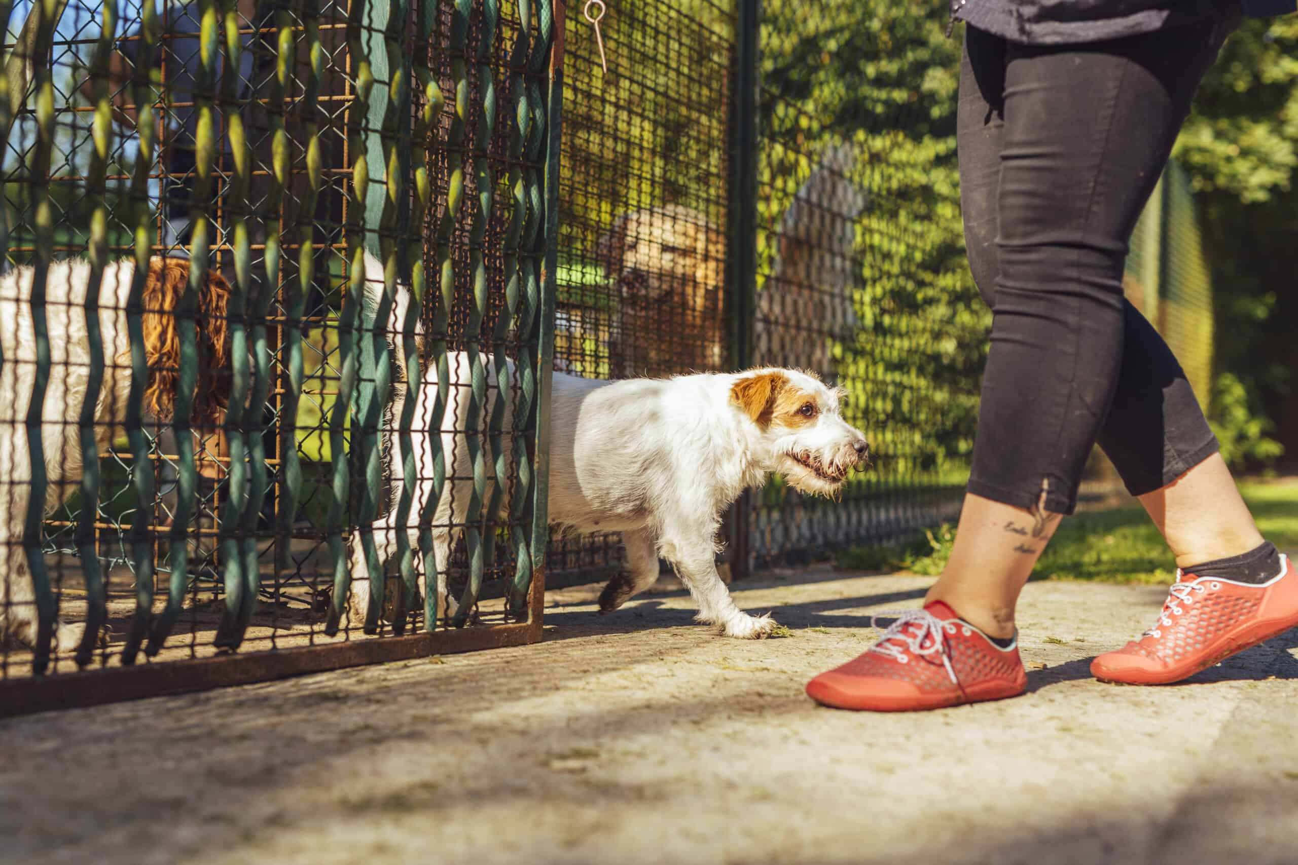 Eating or Drinking More