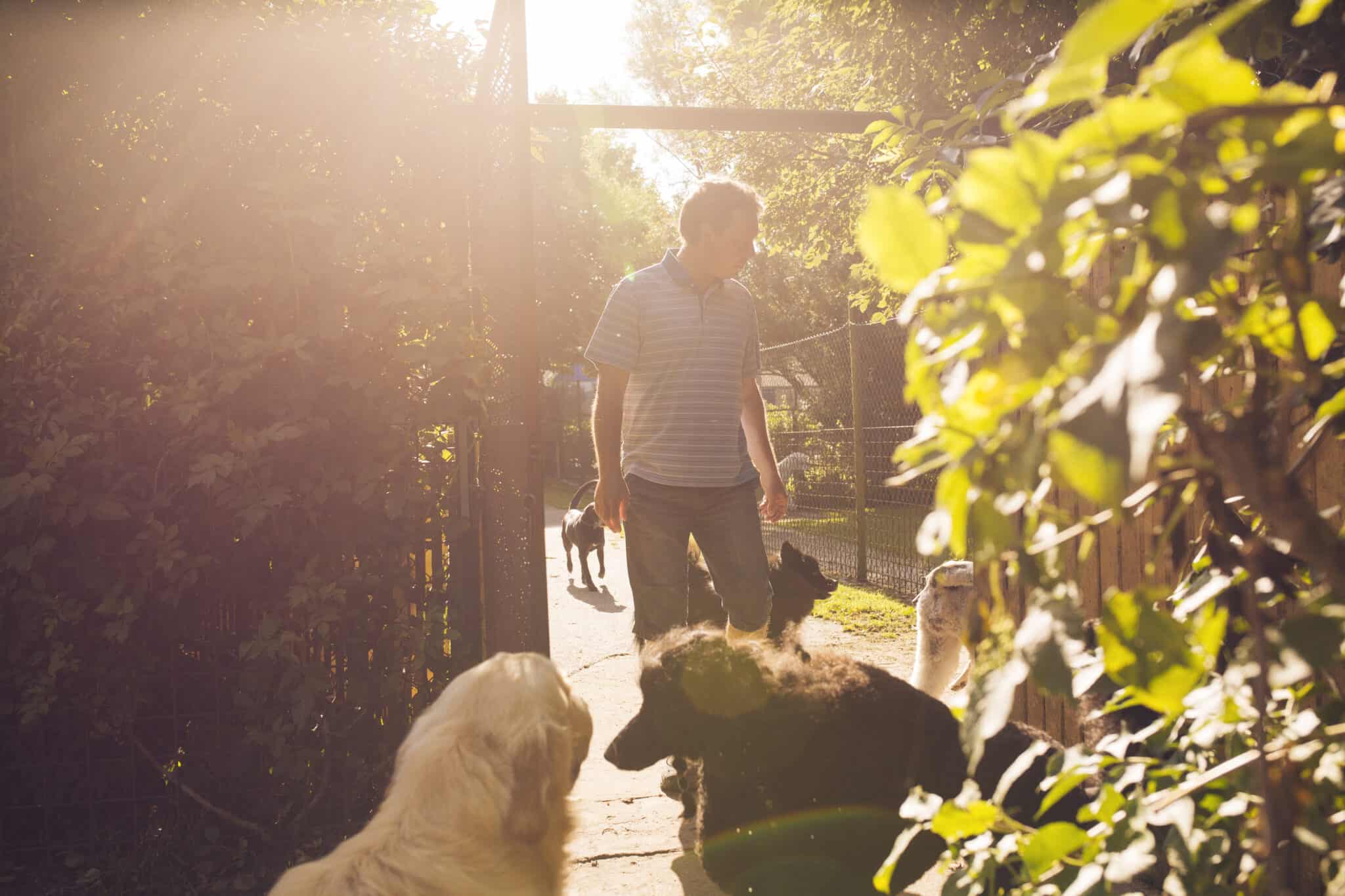 Lack of Feeding or Care