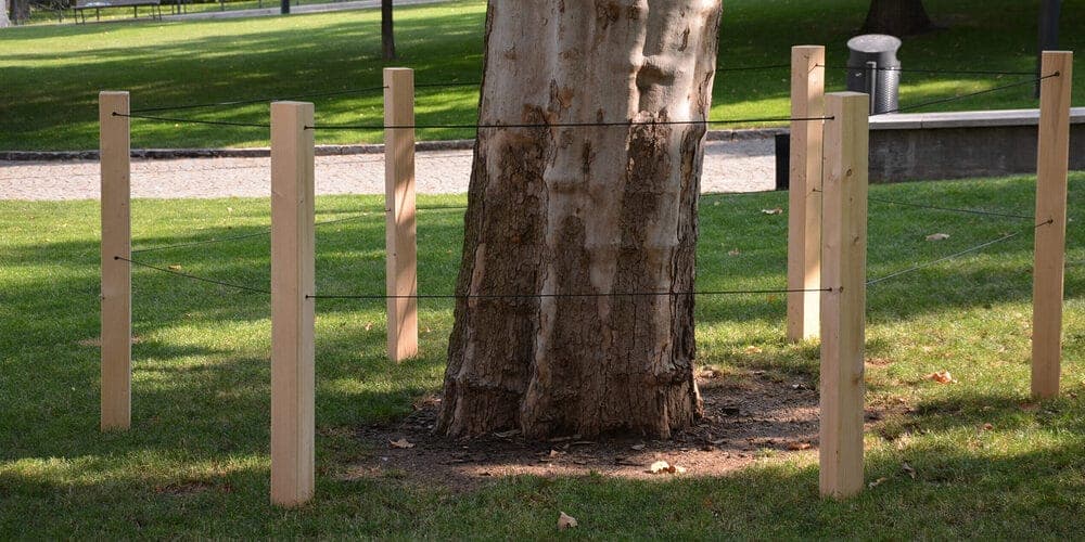 Wooden plank: Quick and easy