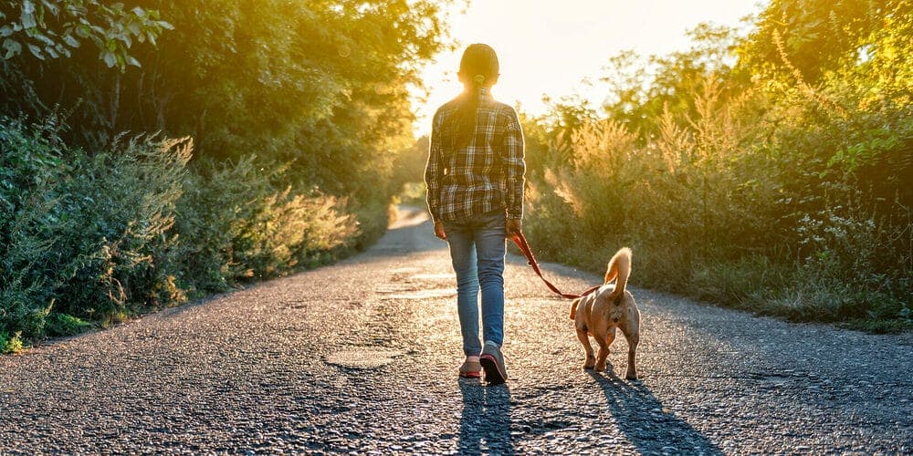 Photodegradation by the sun