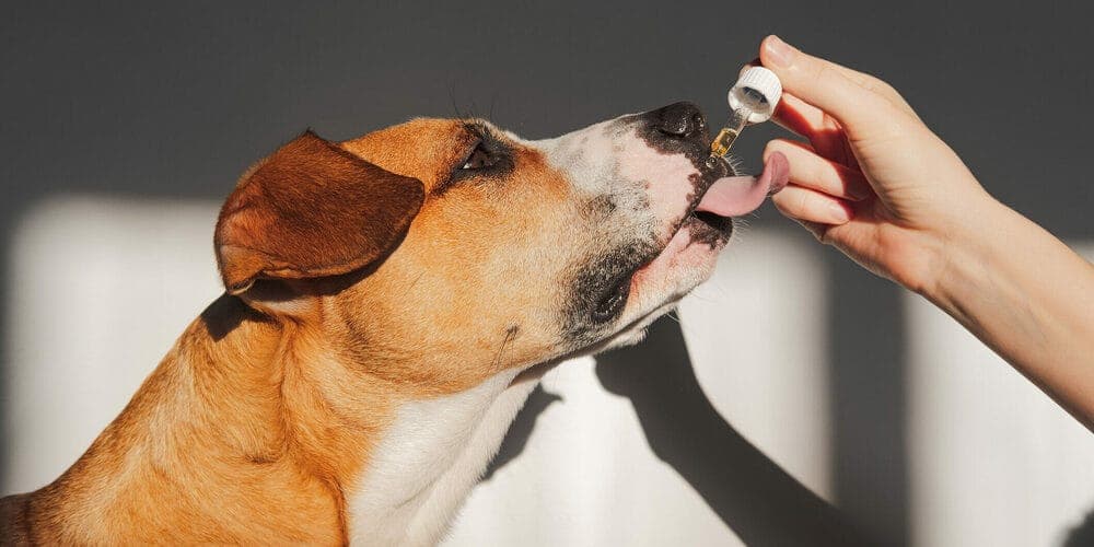 Effects of Medication