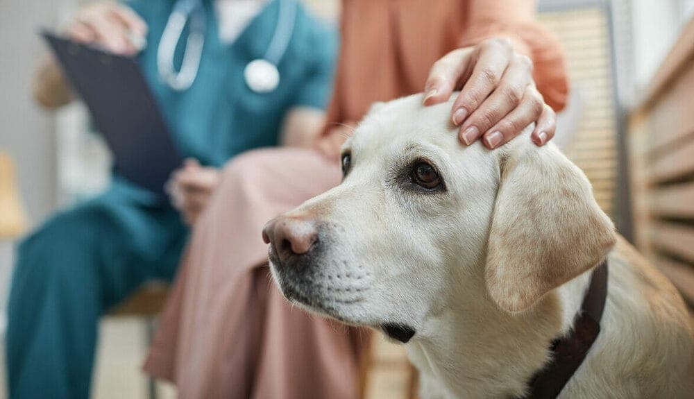 Incomplete expression