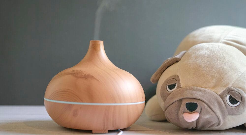 Can a Dog Die from an Essential Oil Diffuser