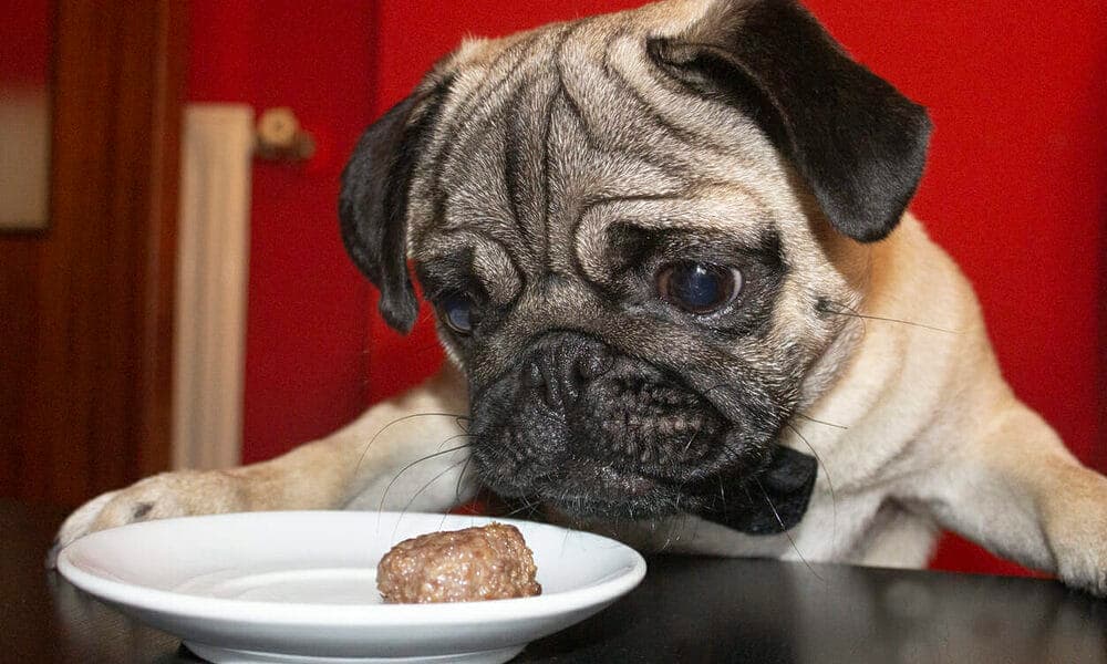 Are there any high-fat foods I should avoid?