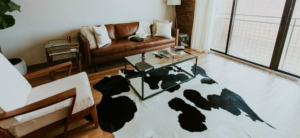 Things to keep in mind when cleaning up dog urine from cowhide rug