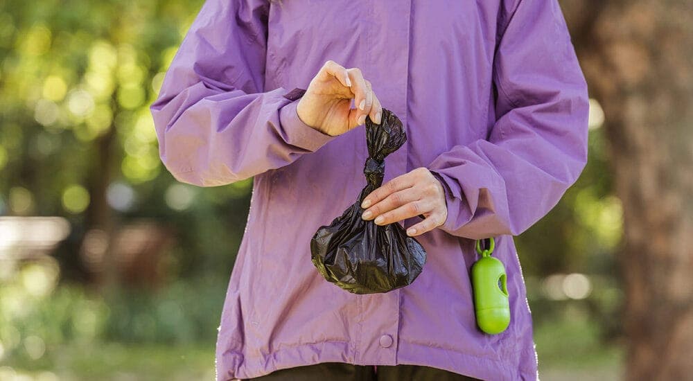 Seal the poop with poop bags