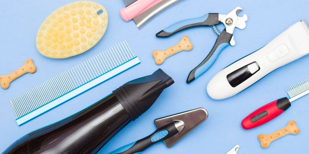 Cons of filing dog nails