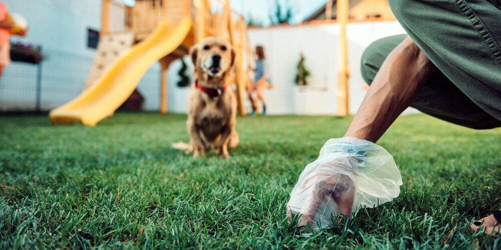 Scooping with a Bag or Shovel