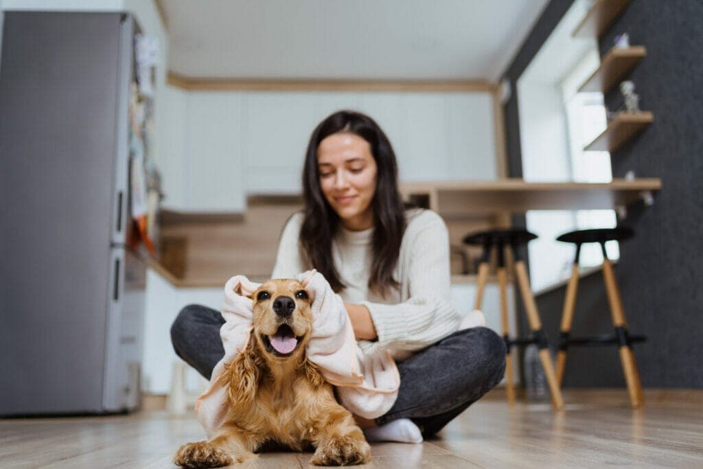 Take breaks for playtime and walks