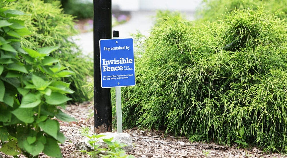 Build an invisible fence