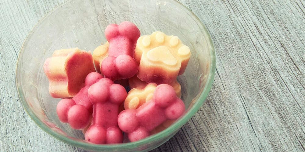 Give your dog a frozen treat