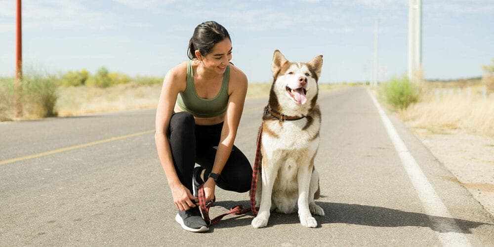 Avoid exercise in the afternoon heat