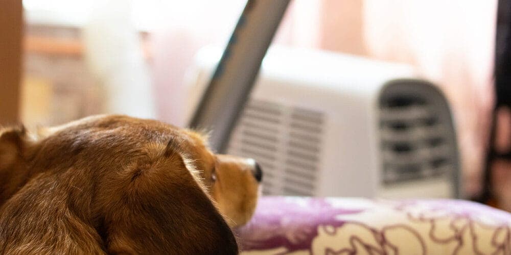 Get an air conditioner