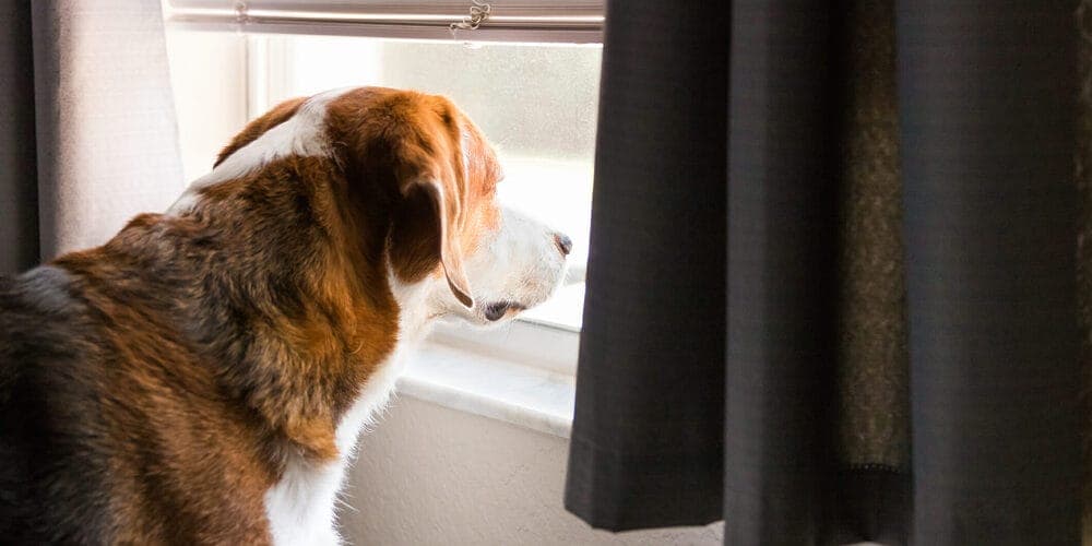 Keep the blinds or curtains closed