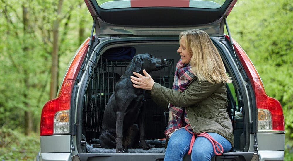 Use anti slip matting