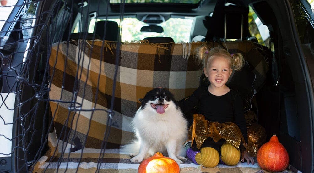 Give them something to keep them occupied