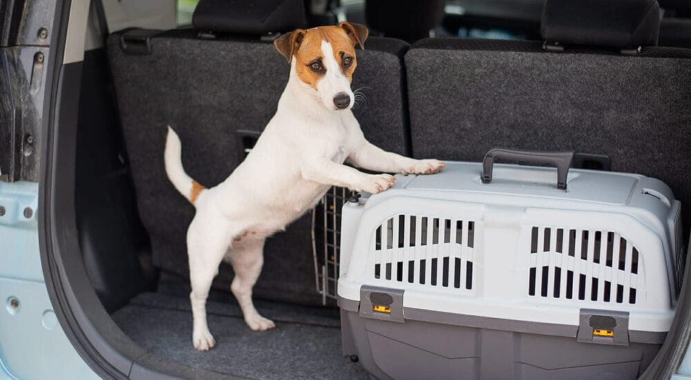 Using L-brackets to secure the crate