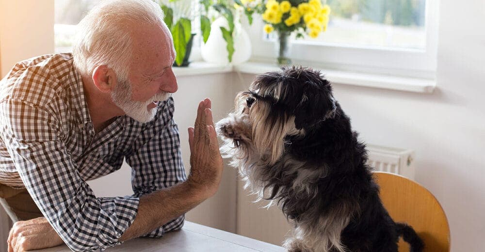 Use positive reinforcement training