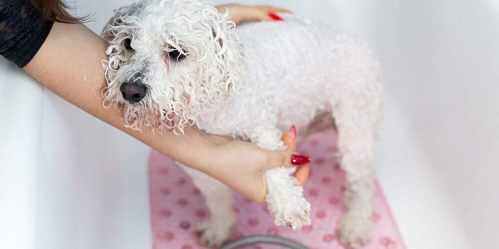 Method 1 - Lemon Juice