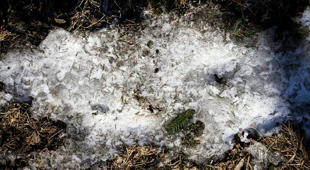 During winter the process takes more time