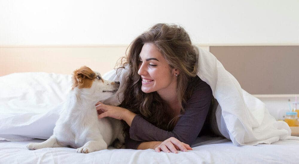 What are the pros and cons of leaving your dog downstairs at night?