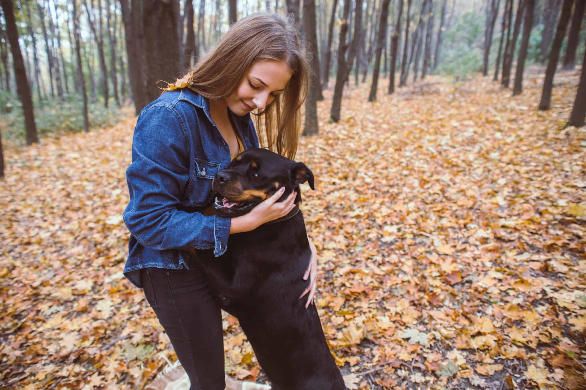 Rottweiler Temperament Devoted