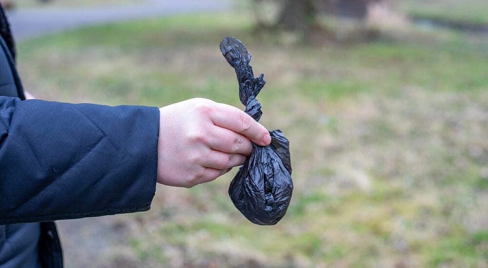 Biodegradable isn’t always as Biodegradable