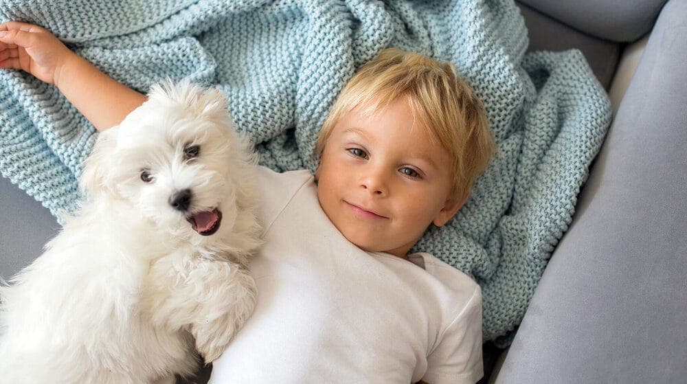 Sometimes It’s Simply For Entertainment!