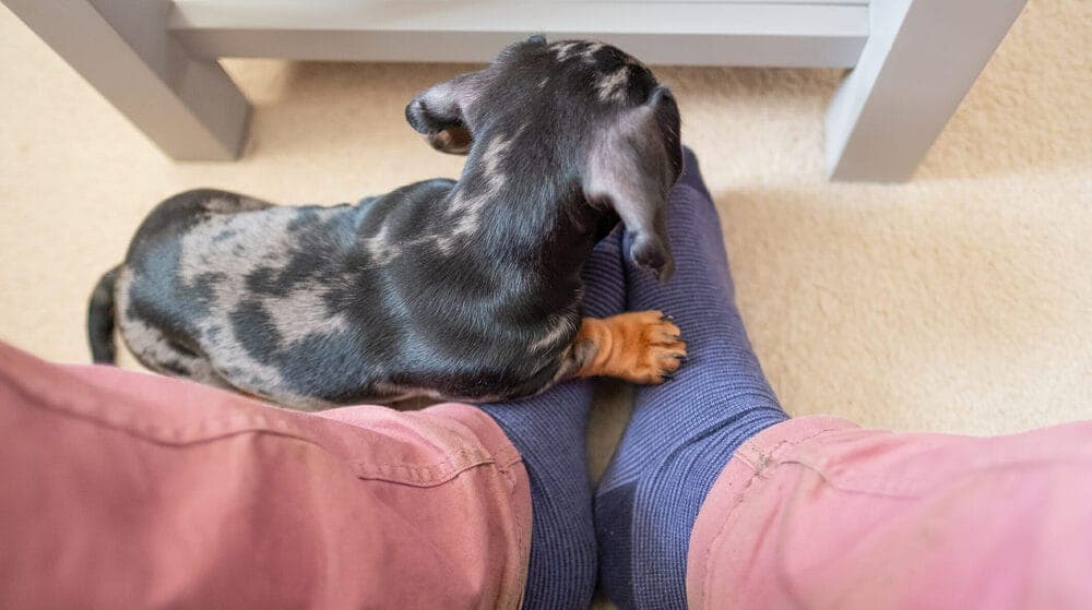 They need to go outside