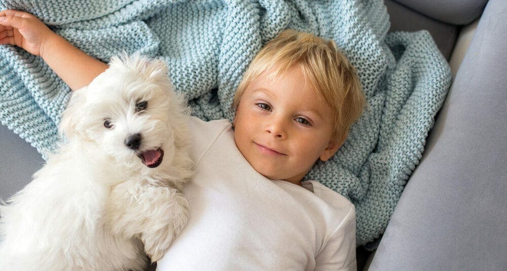 They sense your pain