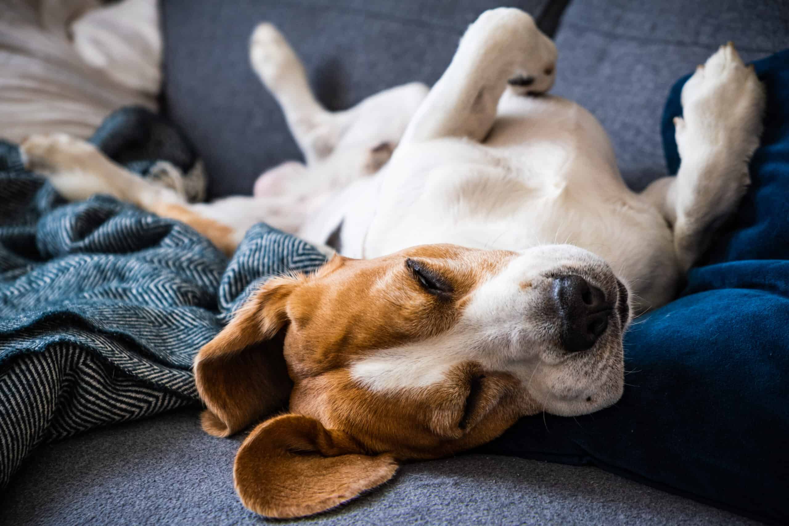 They prefer their own space