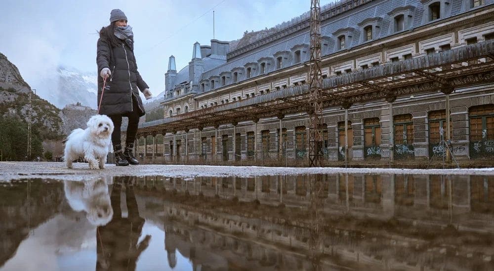 The Environment Is Not Conducive To Learning